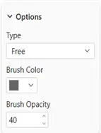 Datellers Brush Slicer Options formatting in Power BI showing Type set to Free, Brush Color set to dark gray, and Brush Opacity set to 40